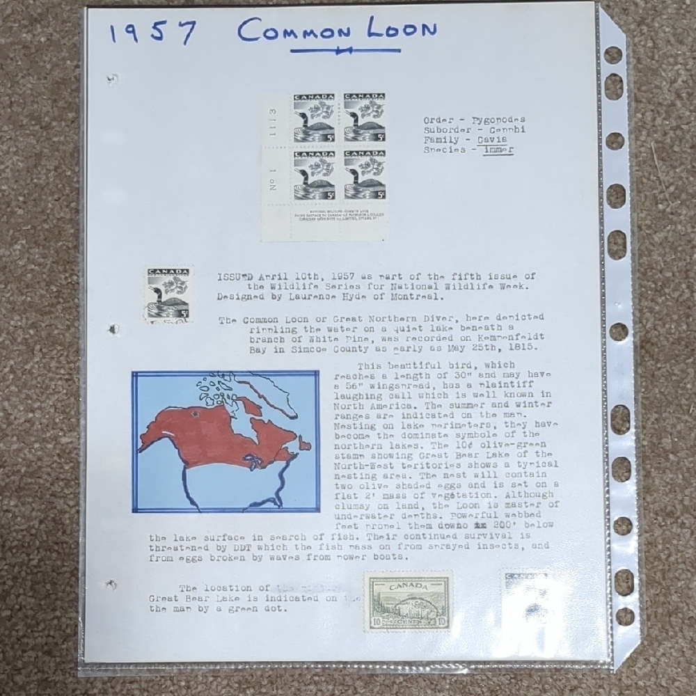 1957 Common Loon Stamp Sheet